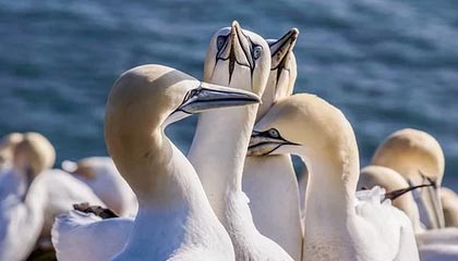 马布里分享家庭日常：做饭肯定不属于家务啊，我说错了吗？