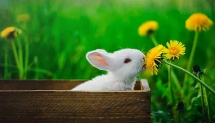 马布里分享家庭日常：做饭肯定不属于家务啊，我说错了吗？